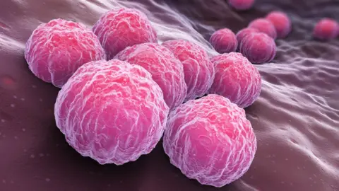 Getty Images Chlamydia bacteria