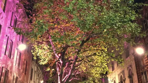 BBC New Street trees