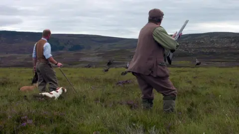 Phil Coomes / BBC A shoot on a grouse moor