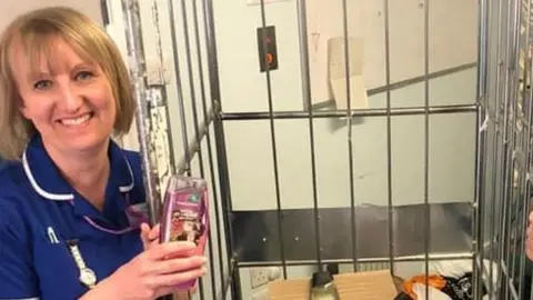 Michelle Carless Michelle Carless