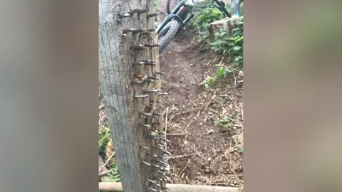 Chris Williams The plank