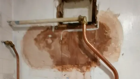 David Banner Leaky pipe