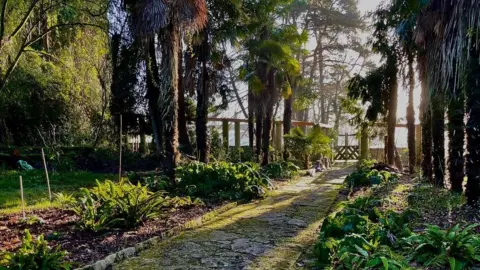 Vicki Gardner Photography The Palm Walk at the Italian Garden