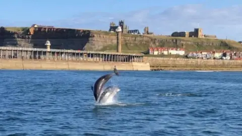 Chris Guy/PA Media A pod of dolphins was spotted off the coast of Whitby