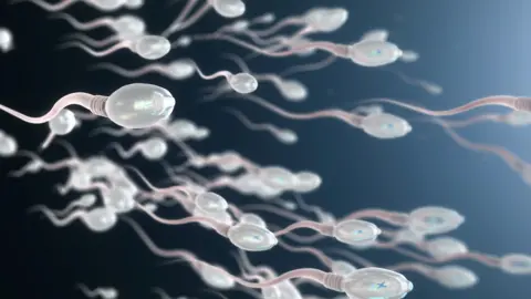 Getty Images Sperm