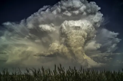 Kathryn Parent A tornado fills the sky