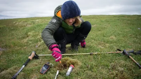 Plantlife/James Hutton Institute Andrea Britton