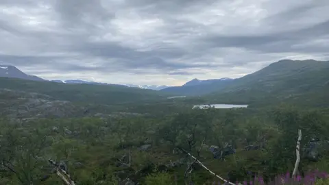 Jonah Hawksley View of greenery across Scandinavia