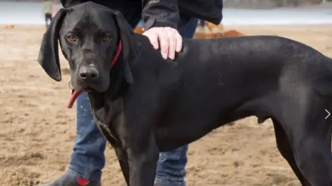 Philippa Ruggier Luther