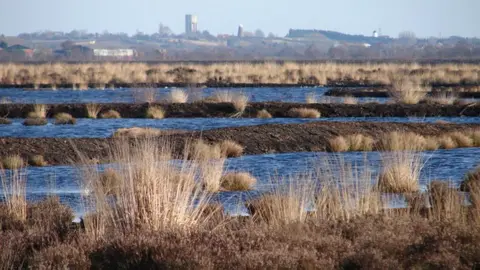 Epworth from Humberhead Peatlands National Nature Reserve