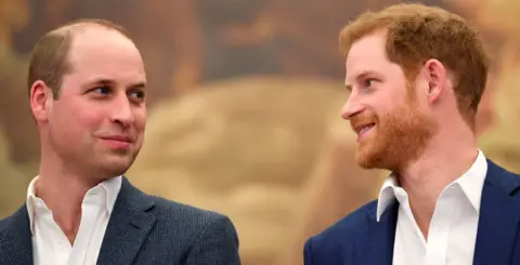 PA Media Prince Harry and Prince William