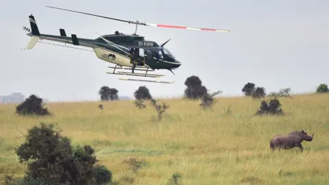 AFP A helicopter flying over a rhino in Nairobi National Park, Kenya - Tuesday 26 June 2016