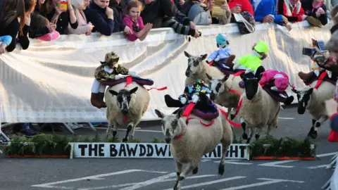 Llandovery Sheep Festival Sheep racing