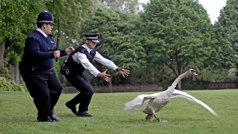 Alamy Nick Frost and Simon Pegg in Hot Fuzz chasing a swan