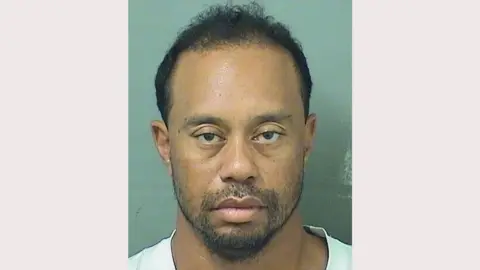 Palm Beach County Sheriff's Office Tiger Woods mugshot