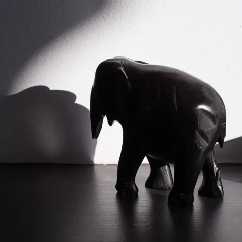 Brendan Delaney Elephant sculpture