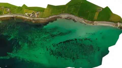 Open Seas/Greenpeace Composite image