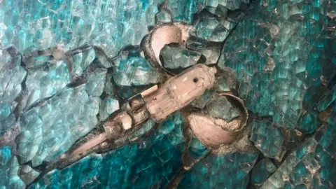 Kimmy McHarrie One of the marine organisms depicted on the mosaic