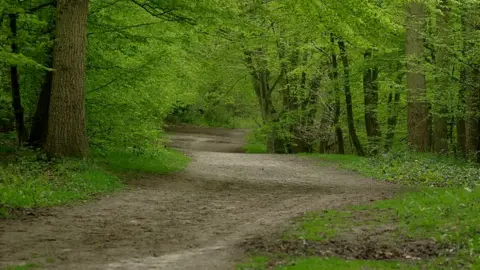 Keith Williams/Geograph Thorndon Country Park