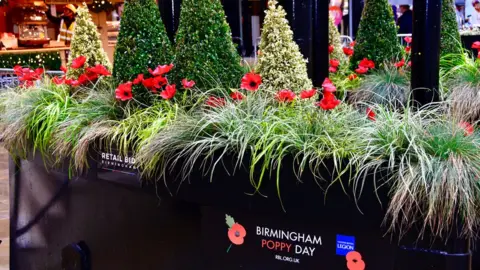 BBC Poppies planted in protection barriers