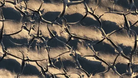 Andy McFarlane Patterns in sand on a beach