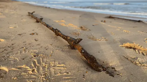 Stuart Howells/BBC Part of the sea defence remnants at Minsmere