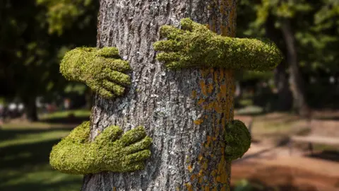 Forest of Dean Sculpture Trust Tree Hug by Monsieur Plant