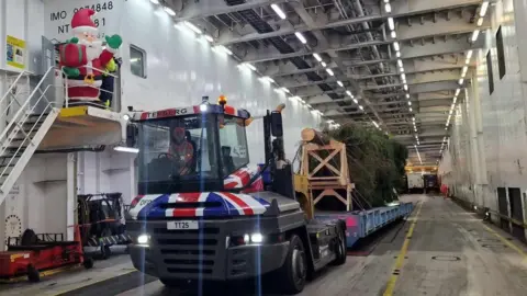 DFDS Tree arrives