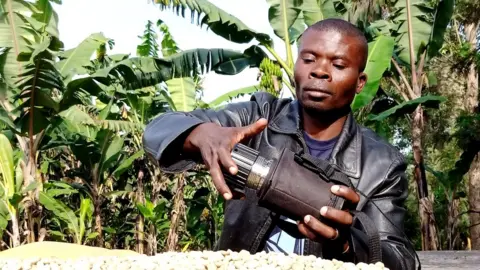 Cito Victoir Magwane of TechnoServe Faustin Mulomba checks coffee beans at the AMKA co-operative