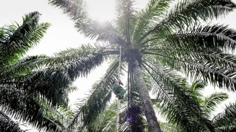 Maxime Fossat / ILO Risk of falls