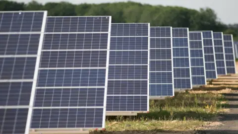 PA Media Solar panels at a solar farm