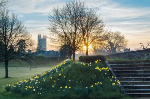 Chris Andrews Publications 2016: Magdalen College Tower