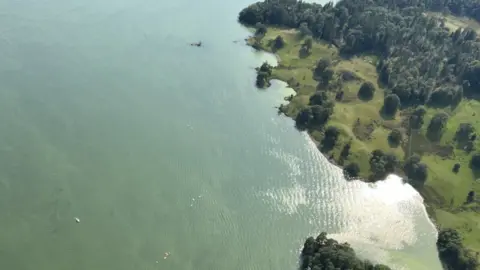 Lewis Harrison Algae on Windermere