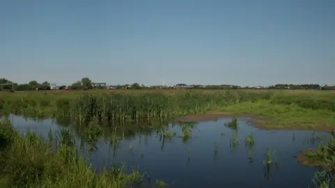 National Highways Doxey Marshes which will benefit from the £4.1m Stafford Brooks Project