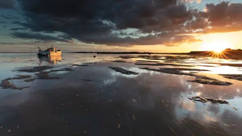 Harry Wheeler-Brand Point Clear in Essex