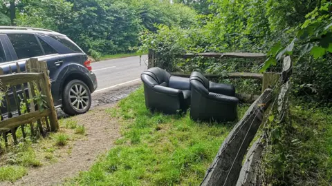 The Woodland Trust Ashenbank, Kent