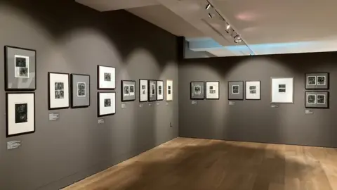 Katy Lewis/BBC Drawing in the Dark exhibition at St Albans Museum