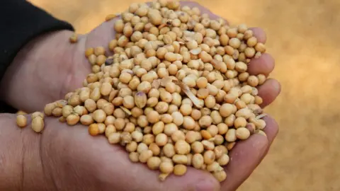 Getty Images Soybeans imported from Ukraine at the port in Nantong, in China's eastern Jiangsu province