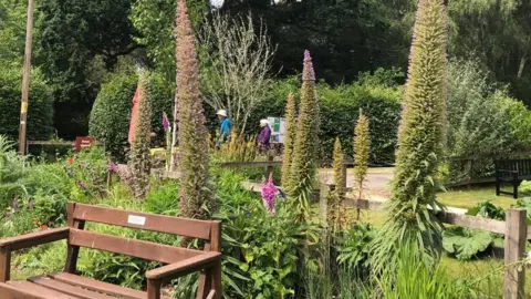 Minstead Trust Furzey Gardens