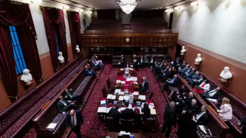 Getty Images View of legislators in the NSW Legislative Council in 2019