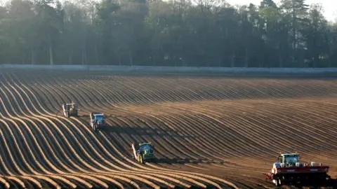 James Millar Potato farming
