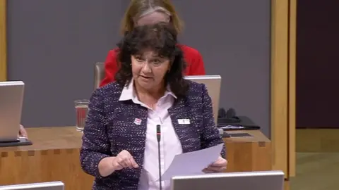 Welsh Assembly Caroline Jones