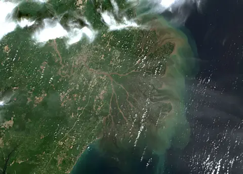 Sentinel Hub/Copernicus Data 2019 Mahakam Delta