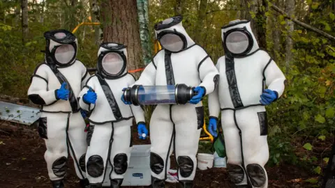 Reuters Scientists in Washington extracted the US's first nest of Asian giant hornets in October