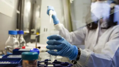 Getty Images Gene testing in laboratory