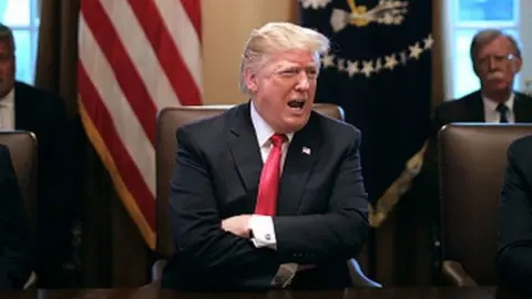 Getty Images Donald Trump gestures during a White House meeting