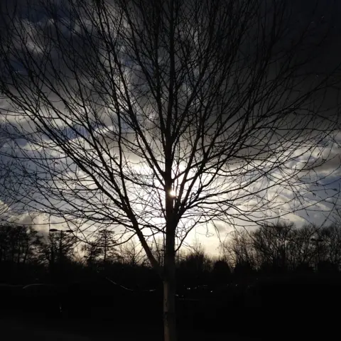 Ella Johnson Ella Johnson, aged 13, took this picture on her walk home from school