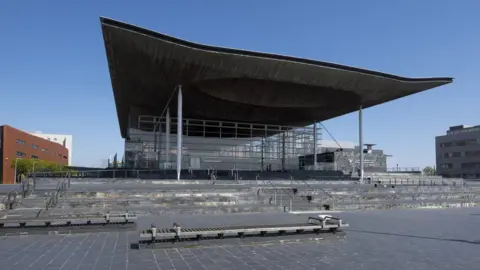 Getty Images Senedd