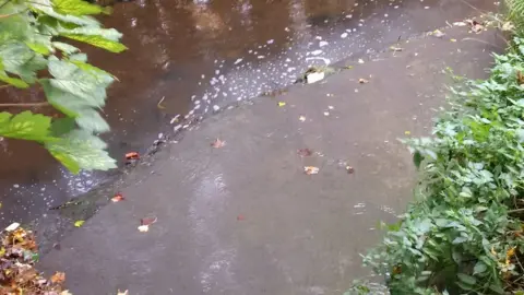 Leak of disinfectant into Suffolk brook was 'serious error'