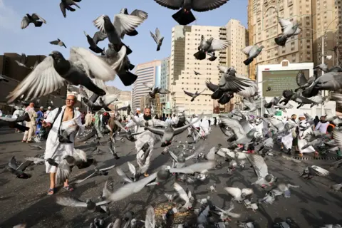 Mohamed Abd El Ghany/Reuters Doves fly around Muslim pilgrims outside the holy Kaaba